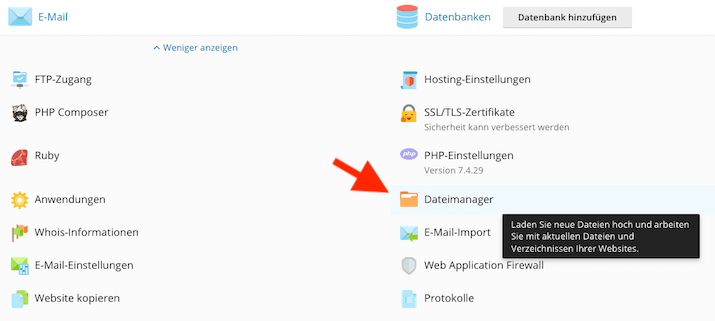 Plesk WebFTP Dateimanager öffnen